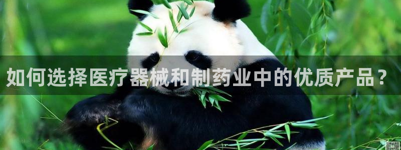 恒行娱乐见5ll533主管