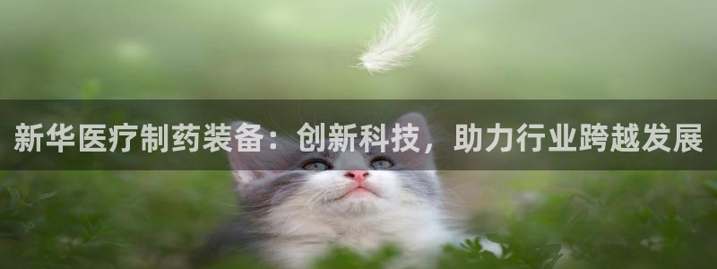 恒行娱乐鸟74ooo5判官