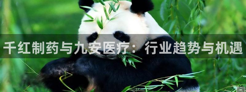 恒行娱乐陈74OOO5