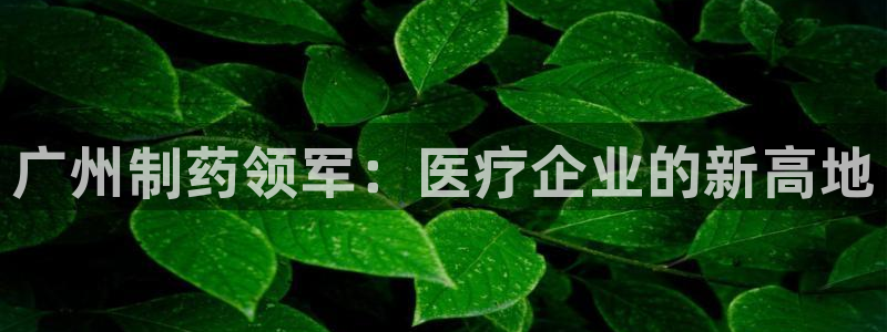 恒在5行中代表什么数字