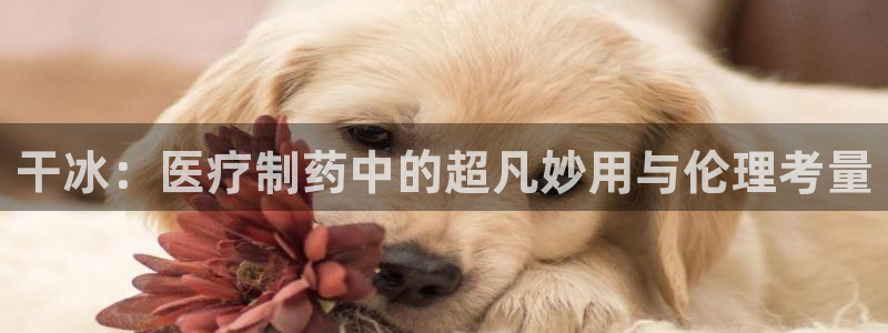 恒行娱乐卫74OOO5