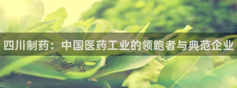 恒行娱乐寻问74 5