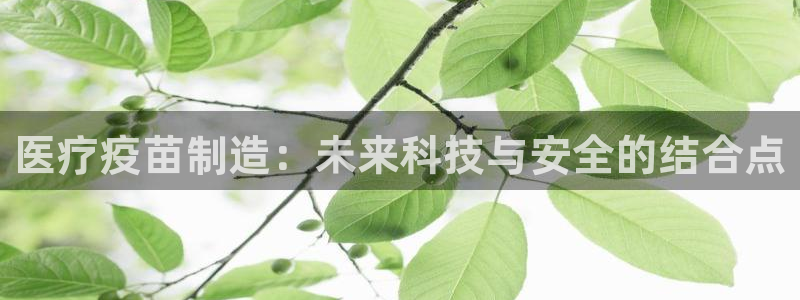 恒行2韩74OOO5