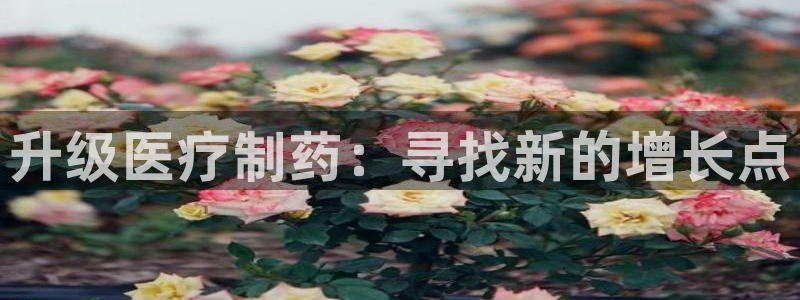 恒行娱乐寻问74 5