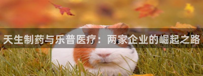 恒行代理总代主导 6ll5l