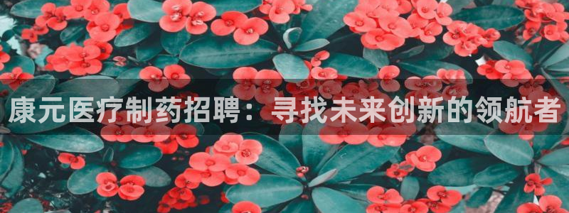 恒行2冯74OOO5
