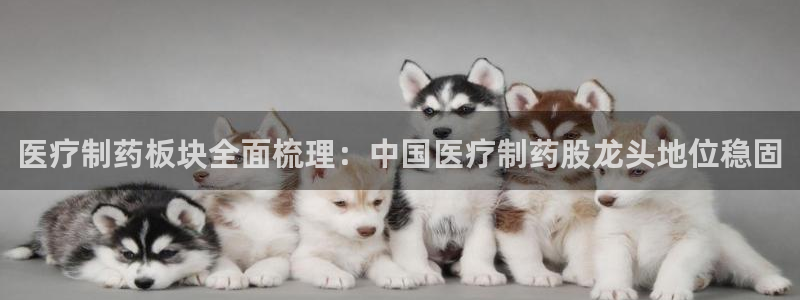 恒行注册全2O5O5O