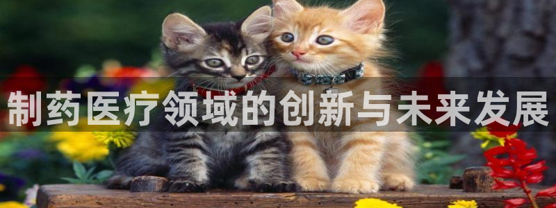 恒行登录就搜6ll5l