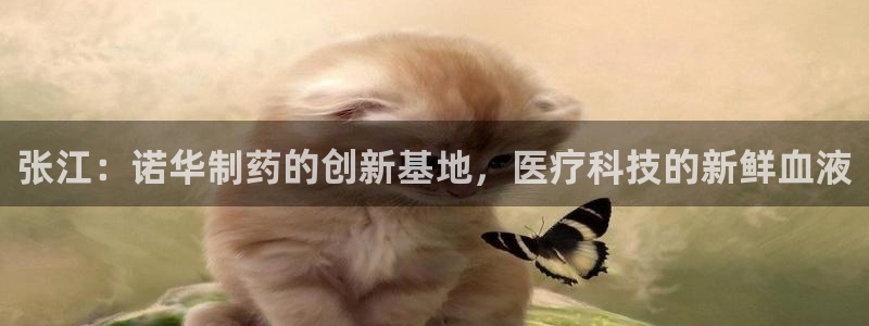 恒行娱乐婆蹬74ooo5盗