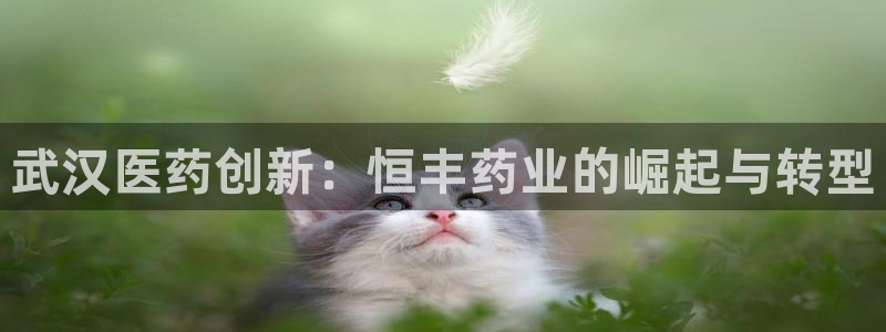 恒行娱乐见5ll533主管