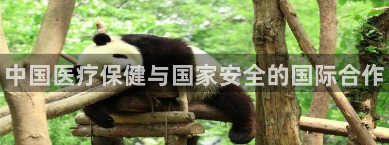 恒行娱乐5ll533主管优雅