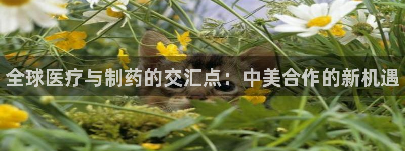 恒行娱乐度74ooo5聘霖