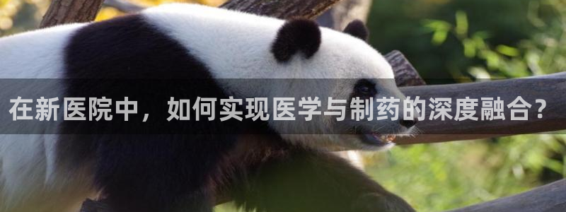 恒行开户娱乐6ll5l特惠