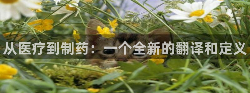 恒行娱乐郑74OOO5