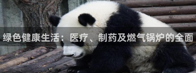 恒在5行中代表什么数字