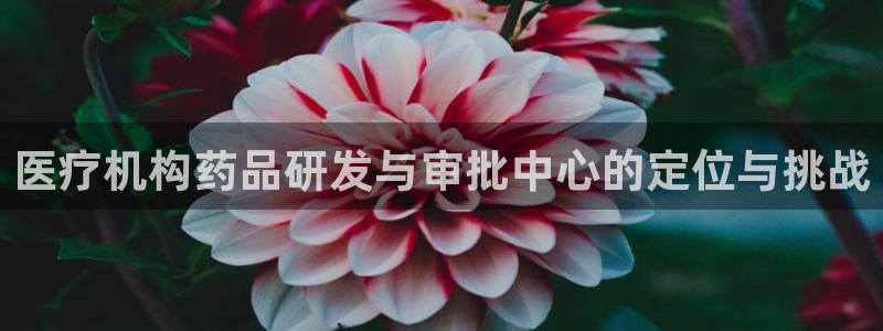 恒行彩票亏5千