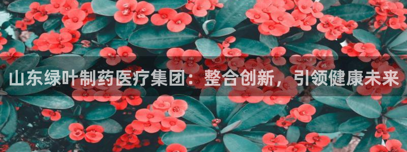 恒行注册招收6ll5l指定