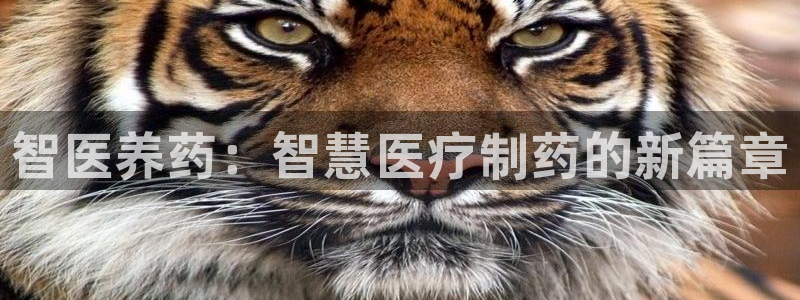 恒行2那74OO5
